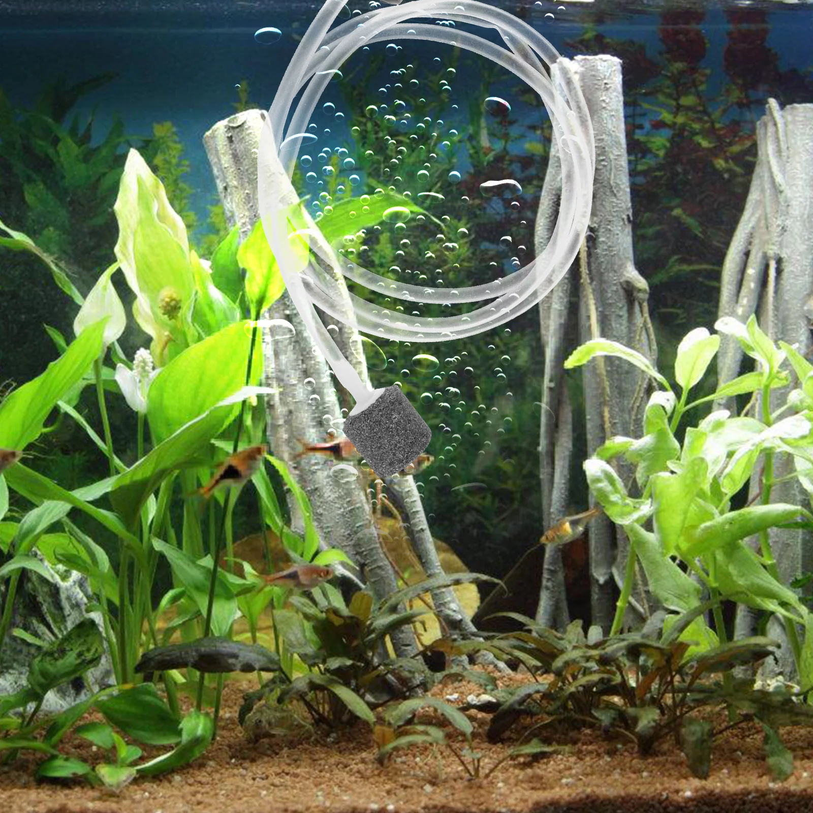 

USB Oxygen Pump Portable Bubbles Mini Air Aquarium Oxygenation Bubbler Fish Tank