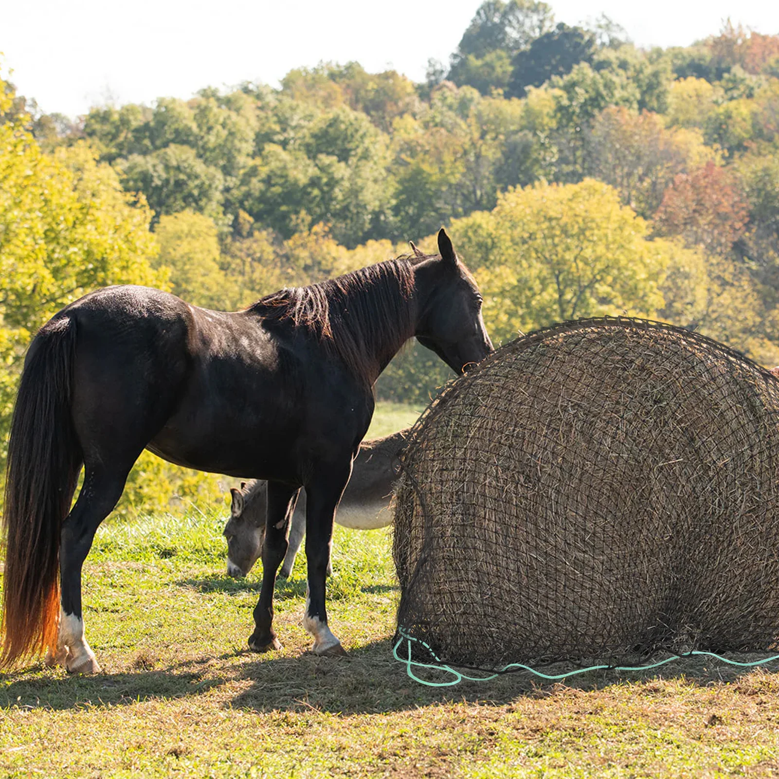 Heunetze für Pferde 5x5Ft Großes Quadratisches Slow-Feed-Heunetz, Robustes Dickes Knotenloses Heunetz, Langlebiger Weicher Nylon Slow-Feeder-Heunetzbeutel für Rinder, Ziegen, Schafe, Gesündere Fütterungslösung für Stall, Scheune und Weide – Detail 4