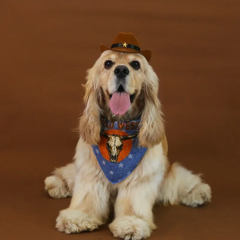Cute Pet Hat Western Retro Denim Star Print Bucket Cap for Small Medium Dogs Cats Puppy with Bandana Bib Scarf Set Accessories