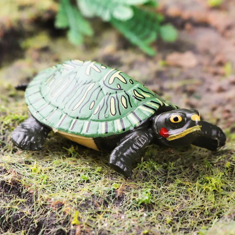 Adornos de anfibios y reptiles simulados, tortuga brasileña, Cocodrilo, Tortuga, juguete modelo de agua