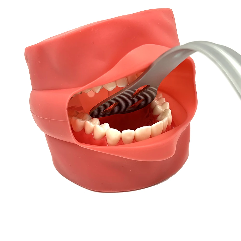 Dental Lingual Isolation Retractor Mouth Gag and Oral Opener for Tongue Retraction and Improved Access During Dental Procedures view 4