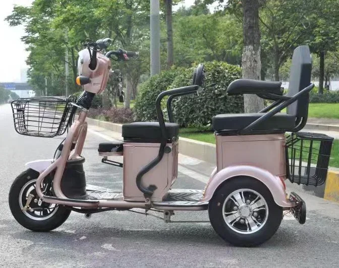 Tricycle électrique 500W, à la mode