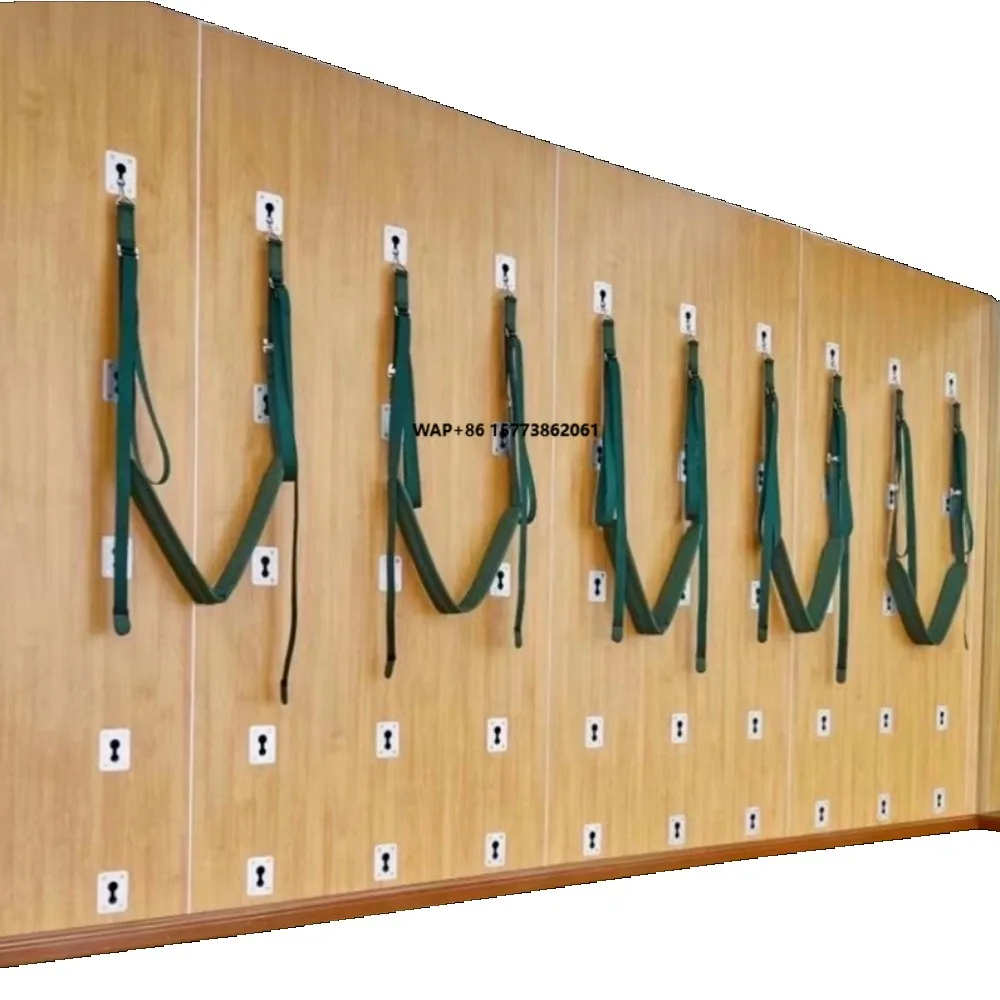 

Wall Installation Accessories Yoga Wall System Pelvic Swing Belts Pilates Wall Mounted Unit with Panel