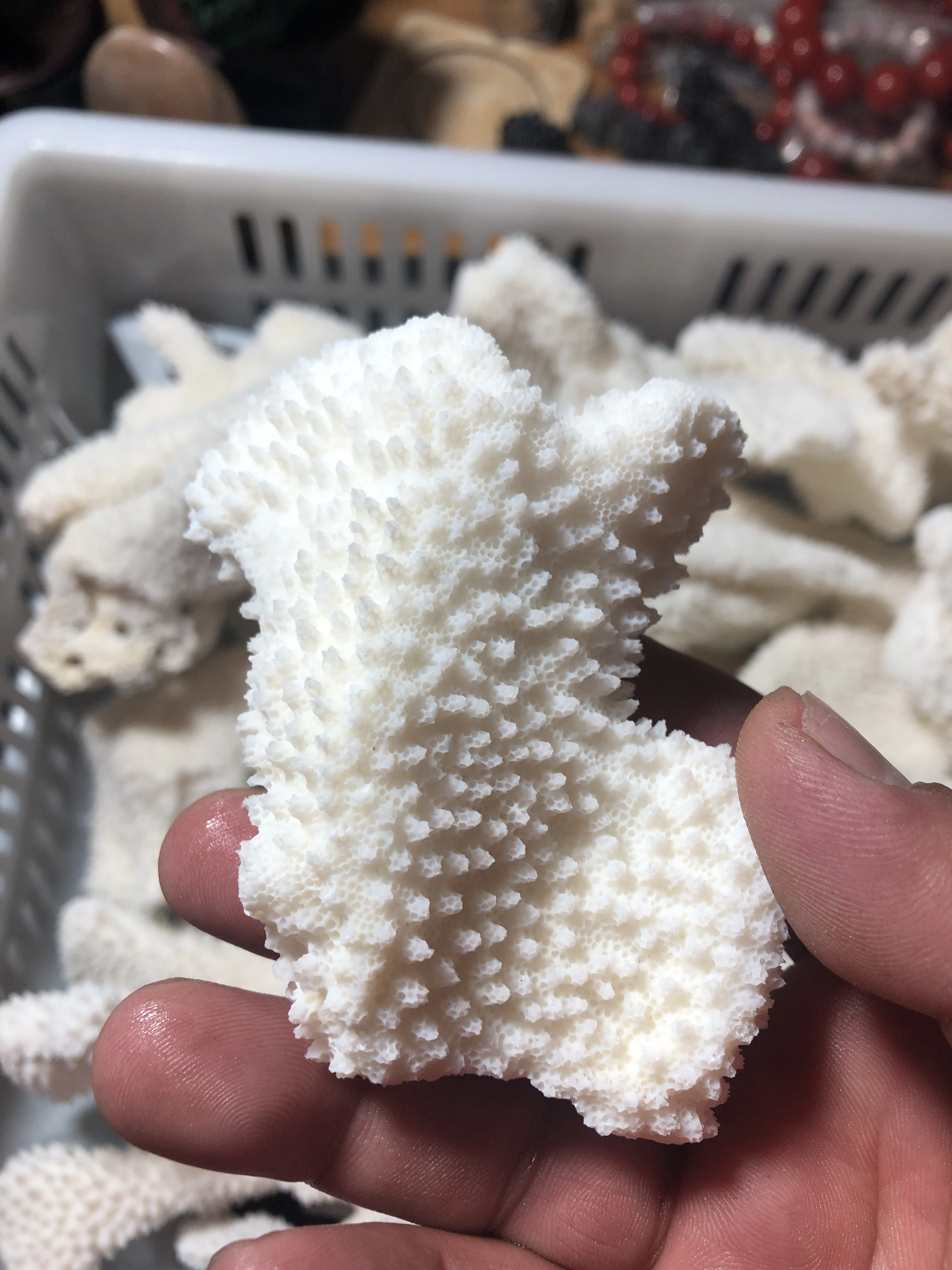 500 Grams Of Natural Deep-Sea White Coral Deer Antler Broken Branches - DIY Aquarium Decoration, Display Item And Plaything For