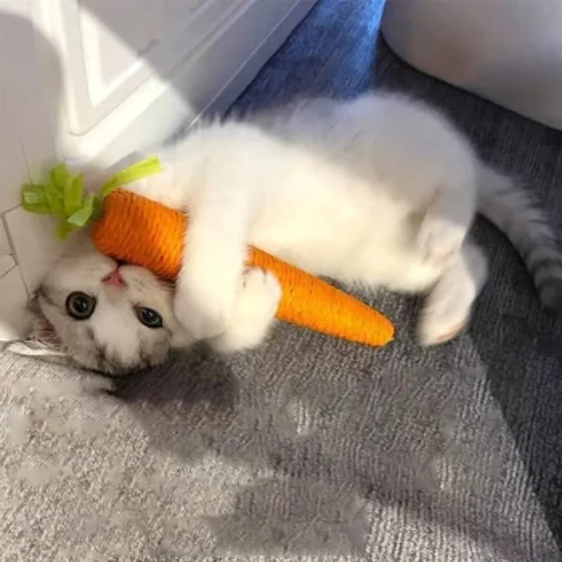 Katzenspielzeug Sound Carrot Cuddle Cat Stick seit lustigem, lustigem Katzen-Beißstab, Anti-Biss-Kratzbrett für Katzen, Heimtierbedarf