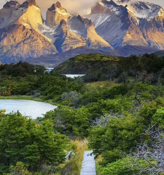 

9304E 1:18 2.4G RC Багги, высокоскоростной электрический внедорожник с 4WD, профессиональный гоночный и дрифт-автомобиль с дистанционным управлением для взрослых