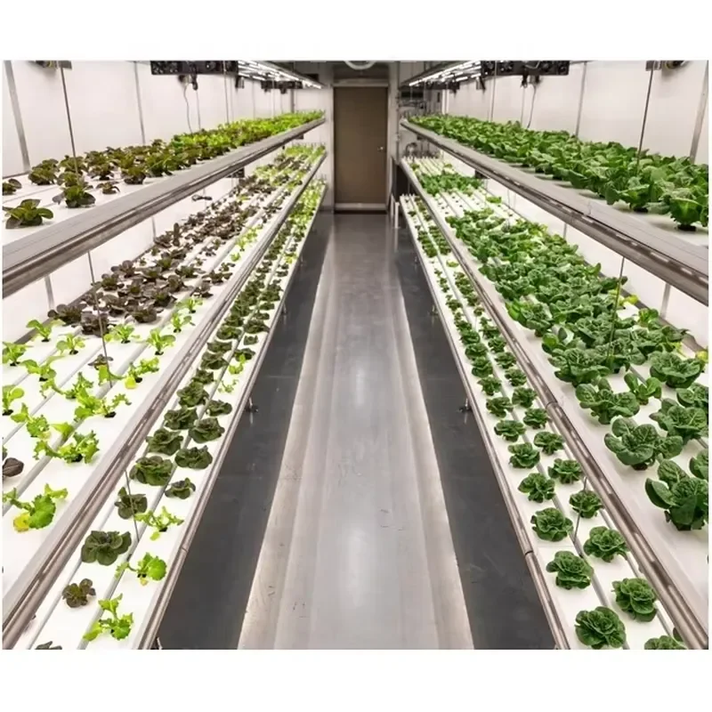 for Intelligent NFT Farm Vertical Hydroponics Transport Aquaculture Container NFT Hydroponics System
