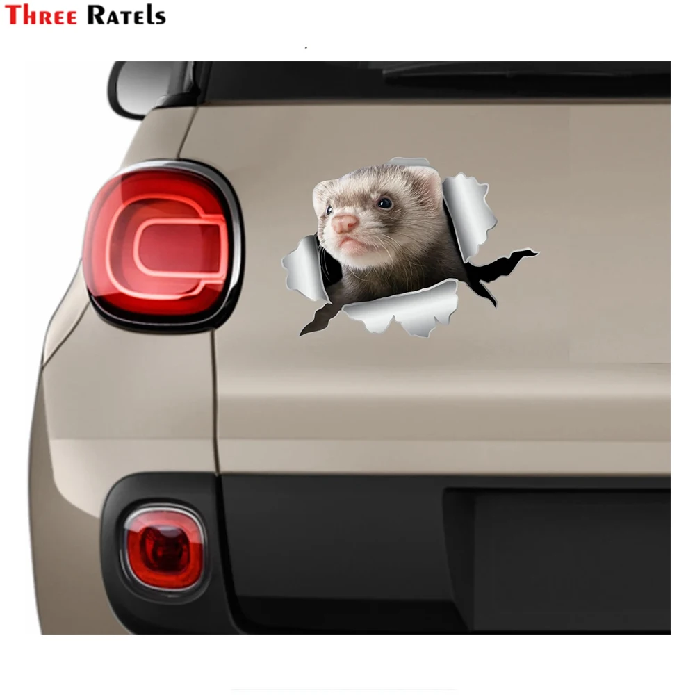 Three Ratels i565 Funny ferret car decal laptop for car styling decoration vinyl material waterproof