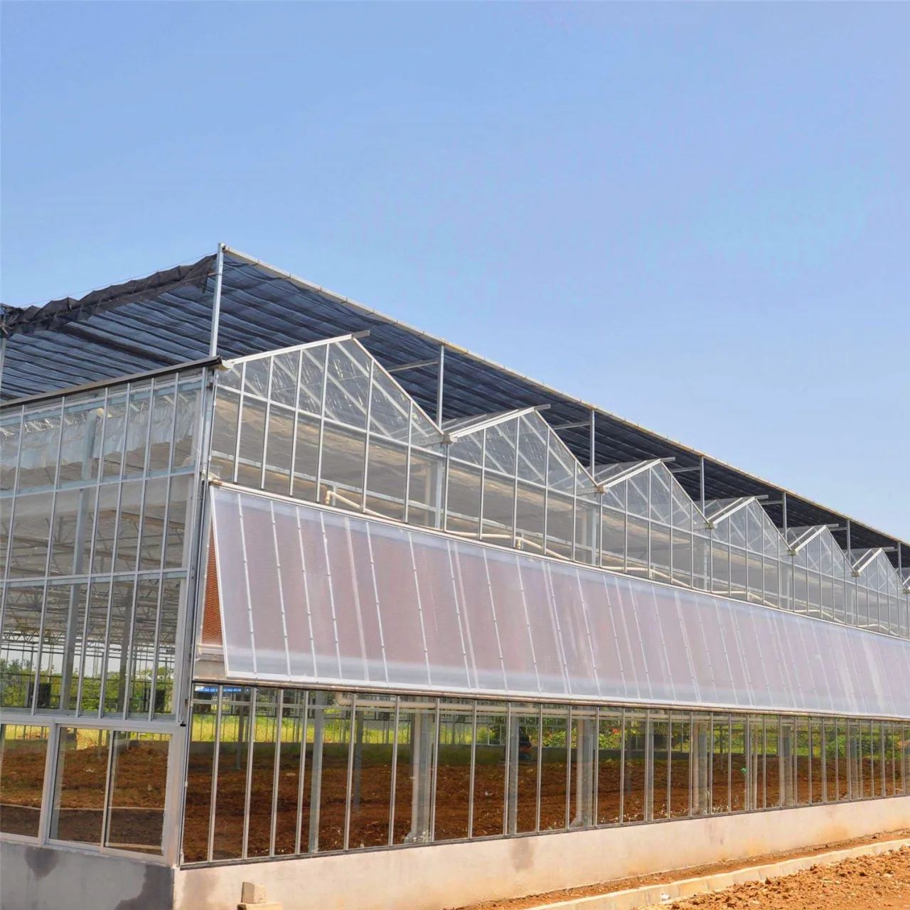 تخصيص الدفيئة أنبوب مجلفن بولي كربونات متعدد المدى فينلو الدفيئة للزراعة/تربية/المعرض/التجربة/Ecol #4