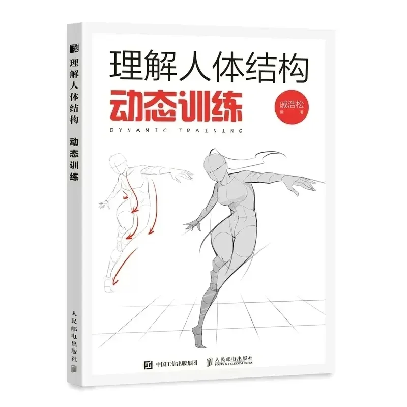 Dynamic Training + Perspective Principle + Drawing New Understanding Basics Anime Painting Tutorial Art  Human Body Structure