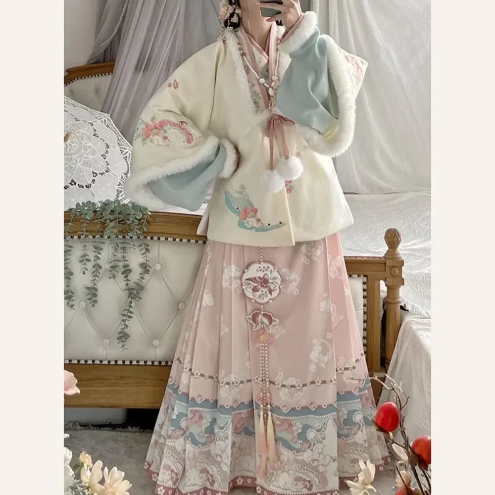 Nouvel an chinois, Hanfu d'hiver de l'année du dragon, porte-stylo de la dynastie Ming, vêtements Hanfu brodés traditionnels chinois, Mamia en peluche