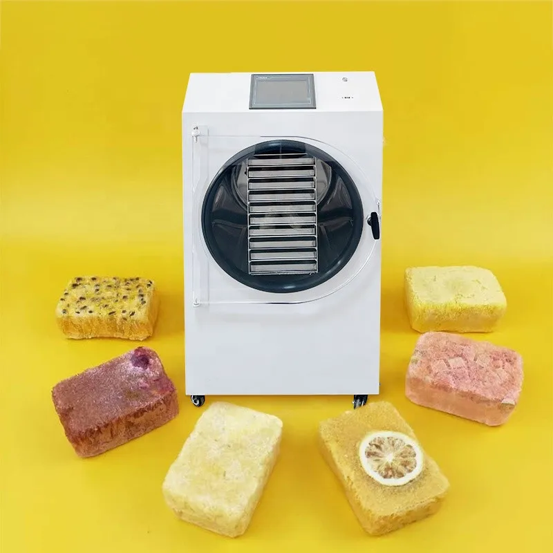 20kg/batch Coffee Fruit Freeze Dried Vacuum Dryer Lyophilizer Home Freeze Drying Machine with Vacuum Pump Australia Hot Sale