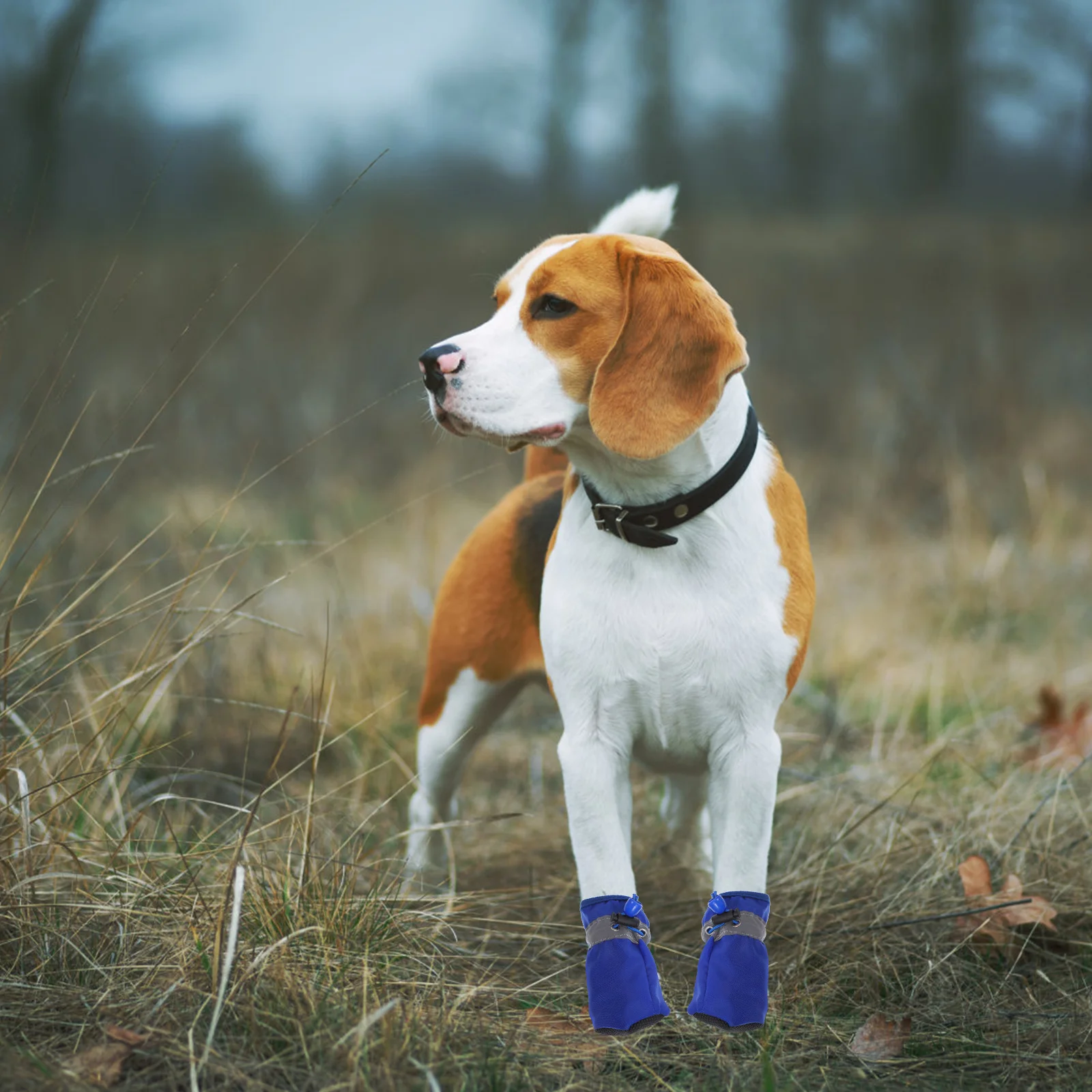 

4Pcs Waterproof Dog Hiking Boots Anti-Slip Sole Protective Shoes Outdoor Walking Small Medium Dogs Xl Blue Pet Shoes