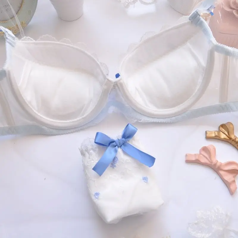 Embroider Thin Cup Girl Cute Sexy Lingerie Bra Set Plus Size Women