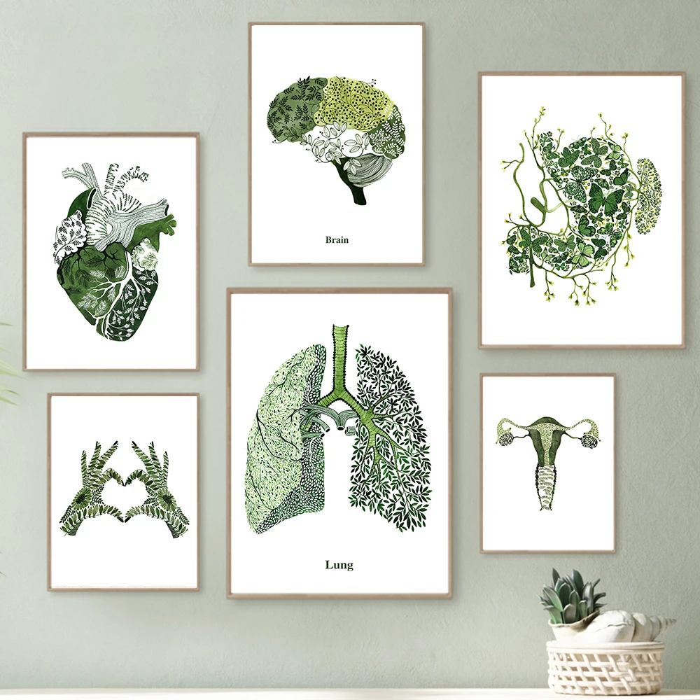 

Green Abstract Medicine Anatomy Heart Lung Eye Uterus Stomach Brain Posters Print Wall Art Canvas Painting Pictures Clinic Decor