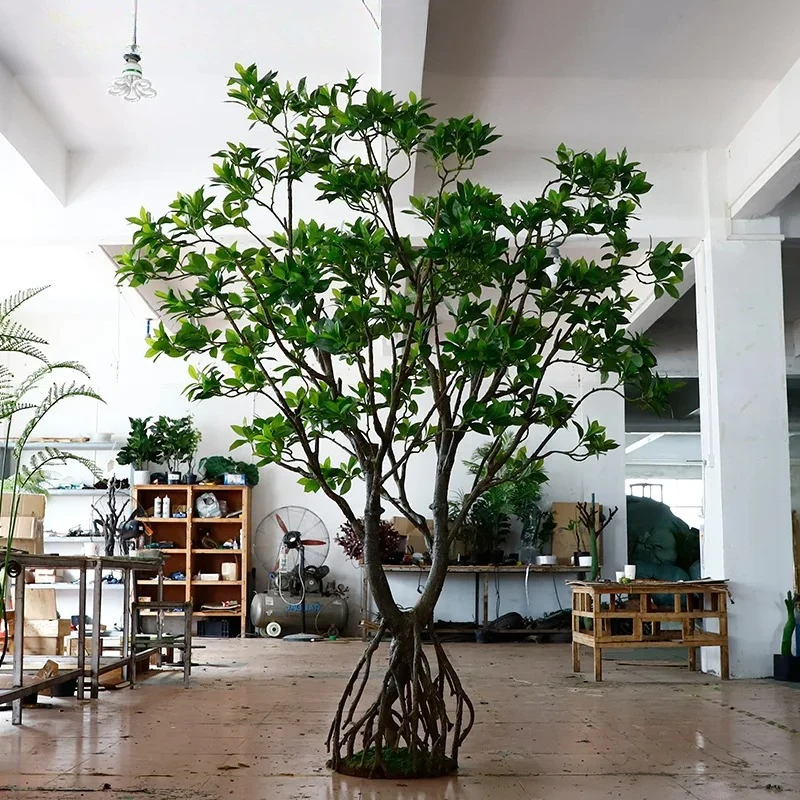 

Simulation of mangrove indoor and outdoor landscaping Landing simulation of green plants Hotel scenic garden decoration fake