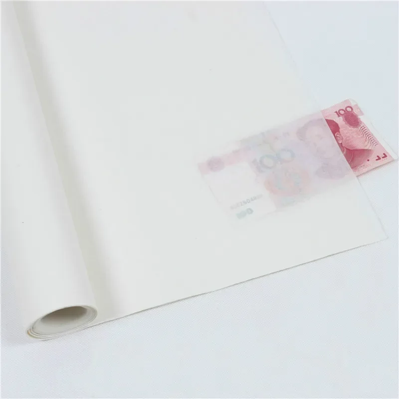 Translucent Mica Ripe Xuan Paper Rijstpapier Chinese Calligraphy Painting Copying Paper Ultra-thin Cicada Wing Rice Paper Papier