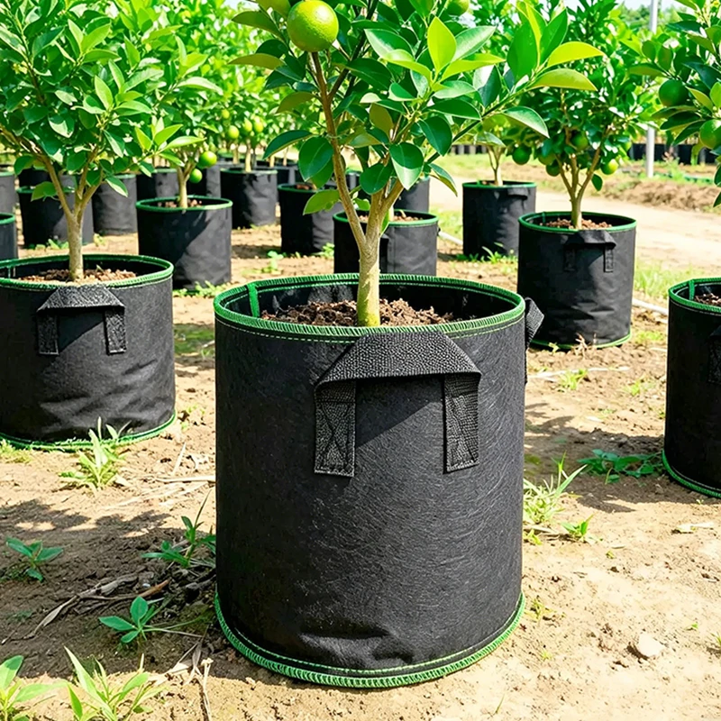 Sacs de culture robustes anti-déchirure de 3, 5, 7 et 10 gallons, avec coutures renforcées, en tissu, pour ferme, serre et plantation à grande échelle
