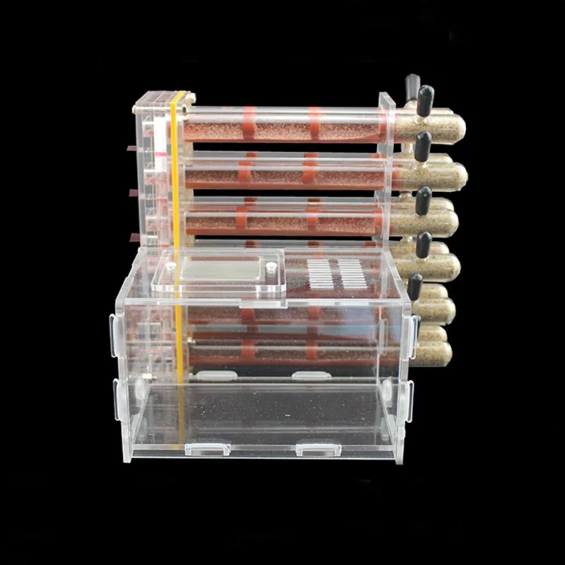 12 PCS Bamboo Test Tube Ant Nest with Hunting Area Acrylic Ant Farm Ant House Kennel Pet Anthill Workshop Insect Hotel Castle