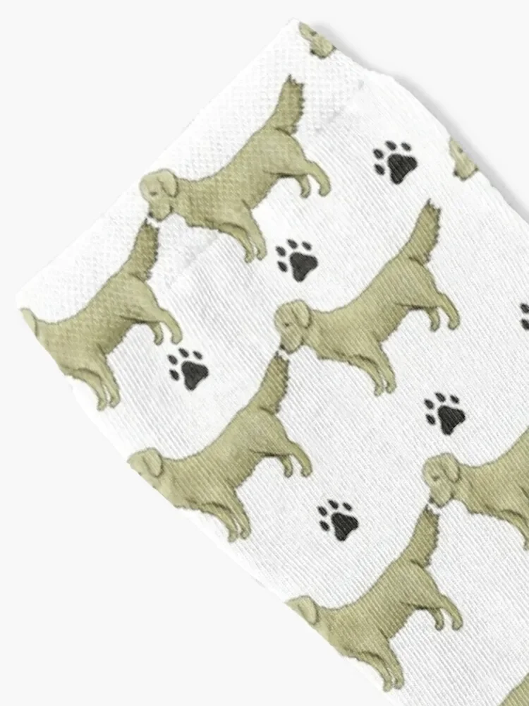 English Cream Golden Retriever Socks moving stockings hockey cotton Wholesale Men's Socks Luxury Women's