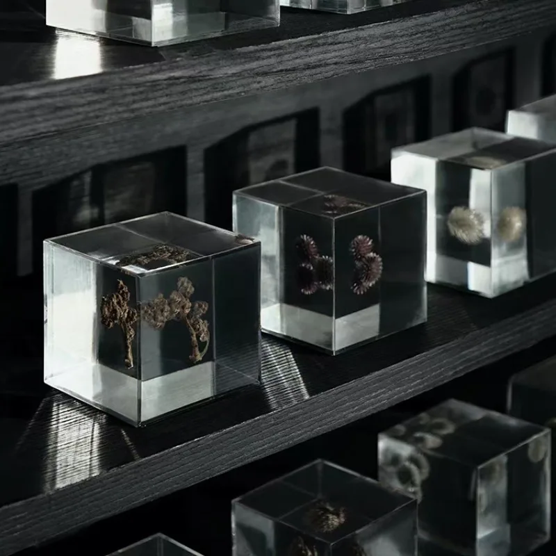 

Transparent resin teaching party Round animal and plant specimen wall Sculpture display ornament Home decoration Resin embedding