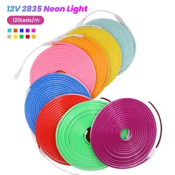 12V 24V LED Neon Light Strip Waterproof Neon Sign 6X12mm Silicone Rope Lights Elastyczna dekoracja lampy z wtyczką DC/2pin Wire