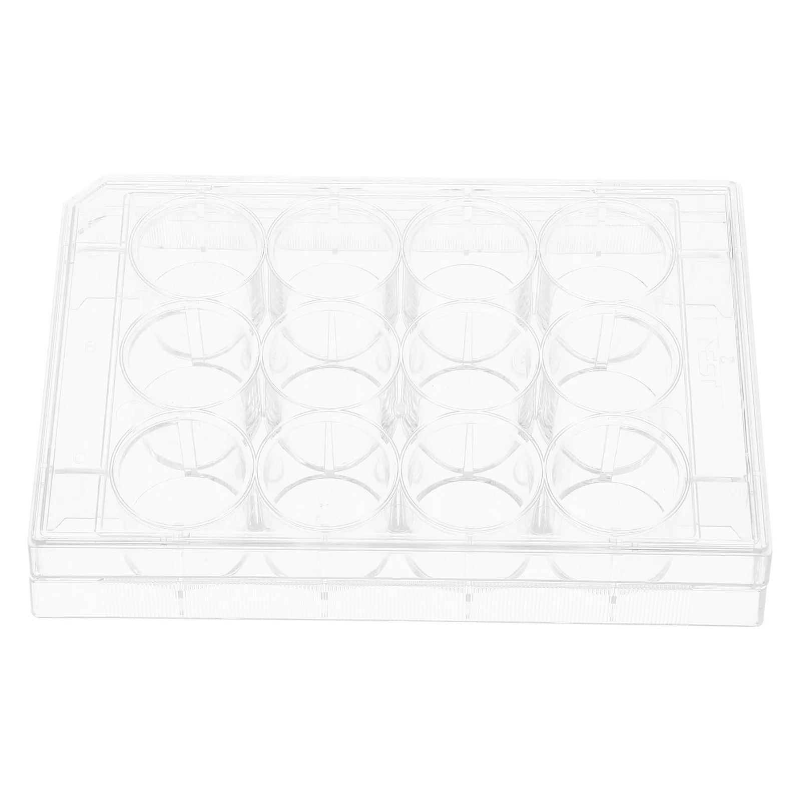 

24/48/96 Well Cell Plate Clear Tissue Culture Dish Plastic Flat Surface Lab Equipment For Research Culture Plate With