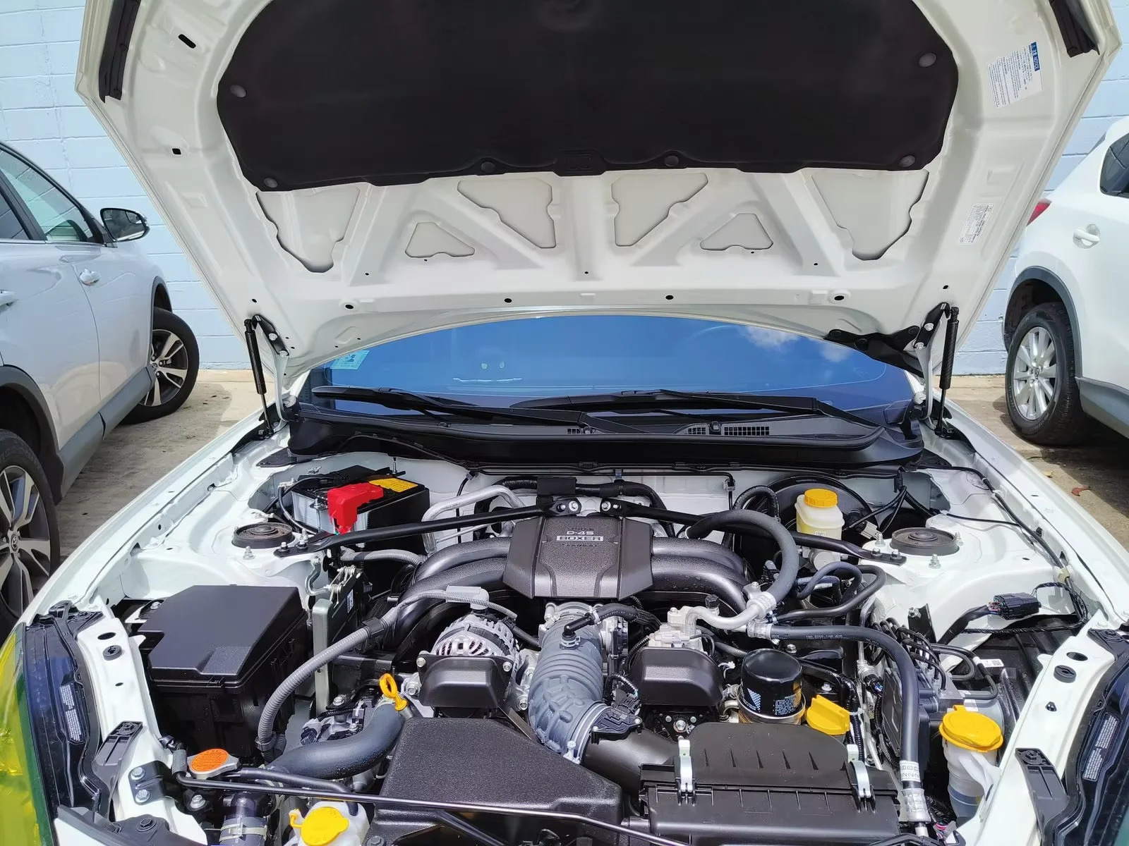 

1 Set Gas Struts For Subaru BRZ ZN8/ZD8 for Toyota GR86 2021-present Front Hood Bonnet Lift Support Damper Shock Absorber Prop