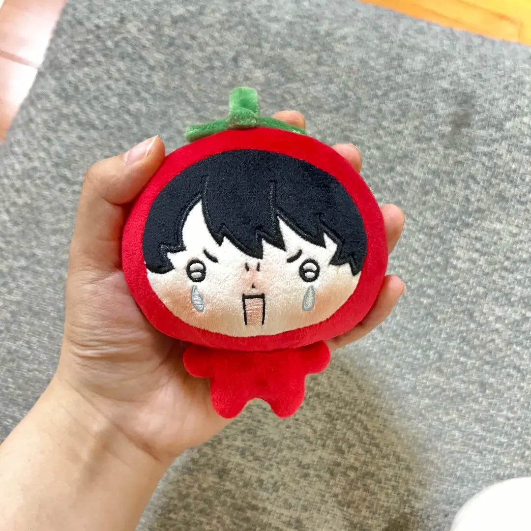 Gevulde 10 cm nieuwe alwetende lezer Kim Dokja Yoo Joonghyuk schattige katoenen pop prachtige sleutelhanger ornament of verjaardagscadeau