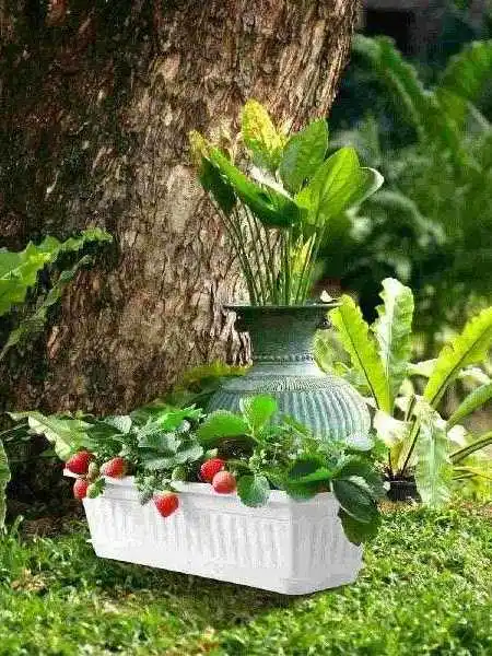 macetas-rectangulares-para-exteriores-jardineras-para-plantas-contenedores-para-patio-sin-marca-registrada