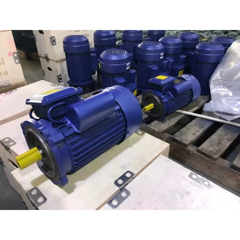 Direct Selling Single-phase Motor With Capacitor
