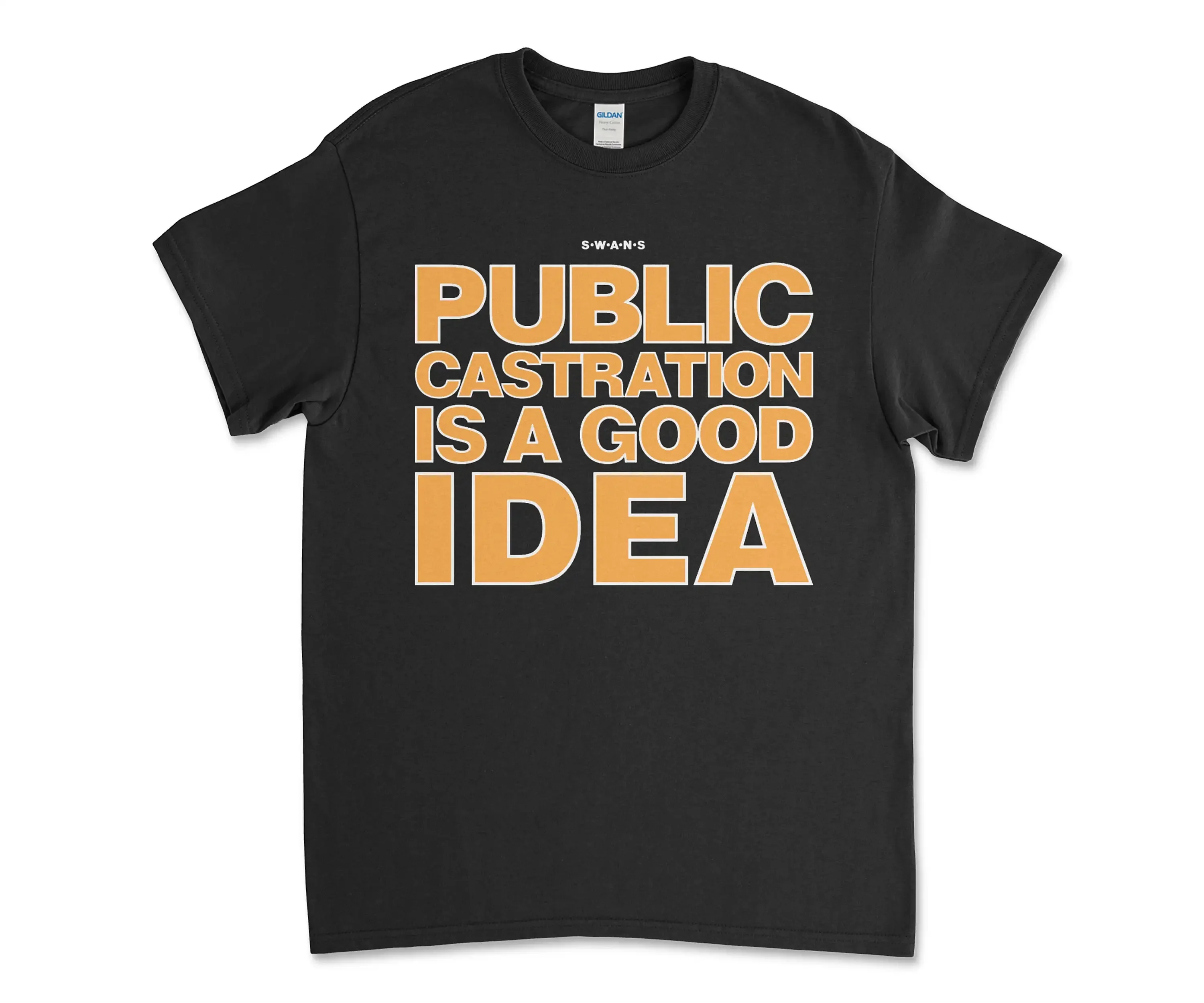 Swans Public Castration Is A Good Idea Black Tee