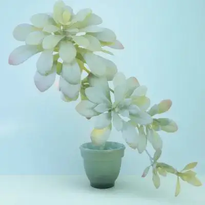 

1Pcs Realistic Succulent Decor Fine Workmanship Multi-Level Details Home Office Wall Decoration Simulated Plant Rattan Decor