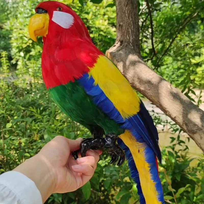2025 Simulation Parrot Model Colored Big Parrot Decorative Props Ornament Feather Birds Flower Parrot Doll Simulation Animal