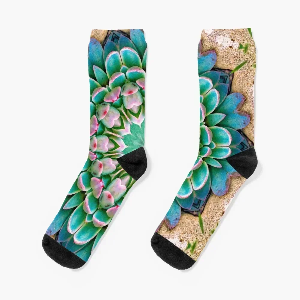 

Succulent Mandala in Fuscia and Green Socks ankle warm winter Rugby Socks Men Women's