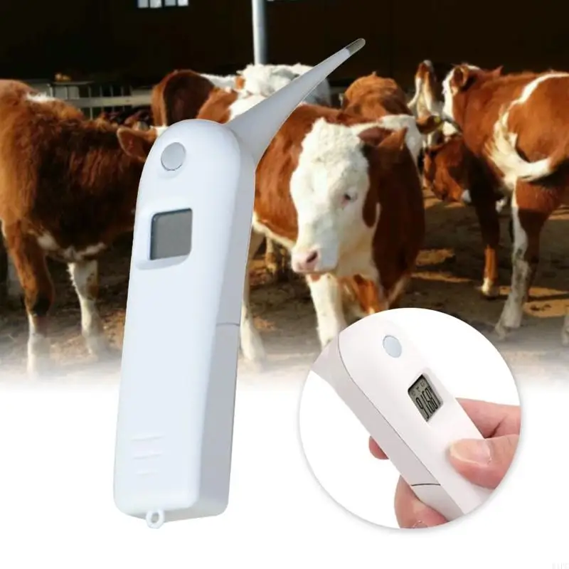 E1PC PET THERMOMETER เครื่องวัดอุณหภูมิสัตวแพทย์ดิจิตอลอย่างรวดเร็วสำหรับสุนัขแมวแมวม้าวัวหมูแกะแกะแบตเตอรี่