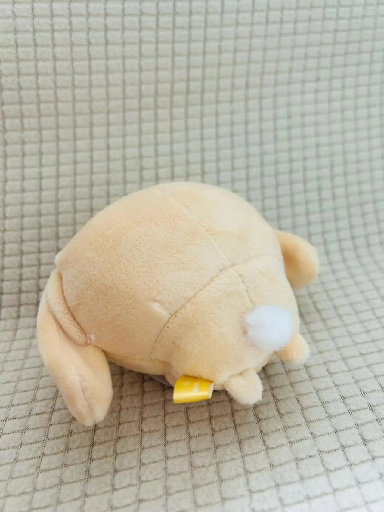 Chiikawa boneca de pelúcia pingente boneca coelho de orelhas caídas brinquedo de pelúcia usagi hachiware boneca dos desenhos animados pingente de pelúcia amigo presente