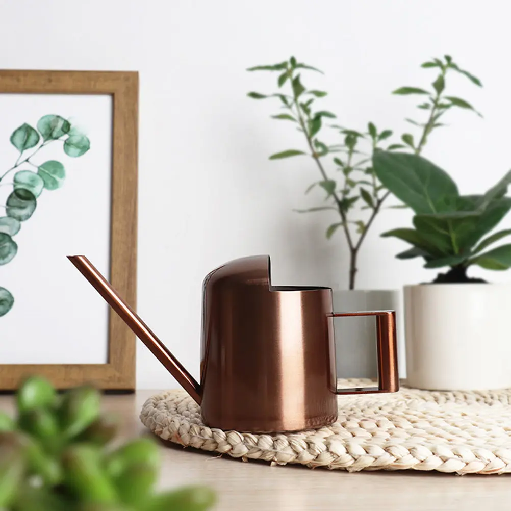 Stainless Steel Watering Can Long Spout Gardening Kettle for Indoor Outdoor Plants Succulents Bonsai Flower Watering Pot