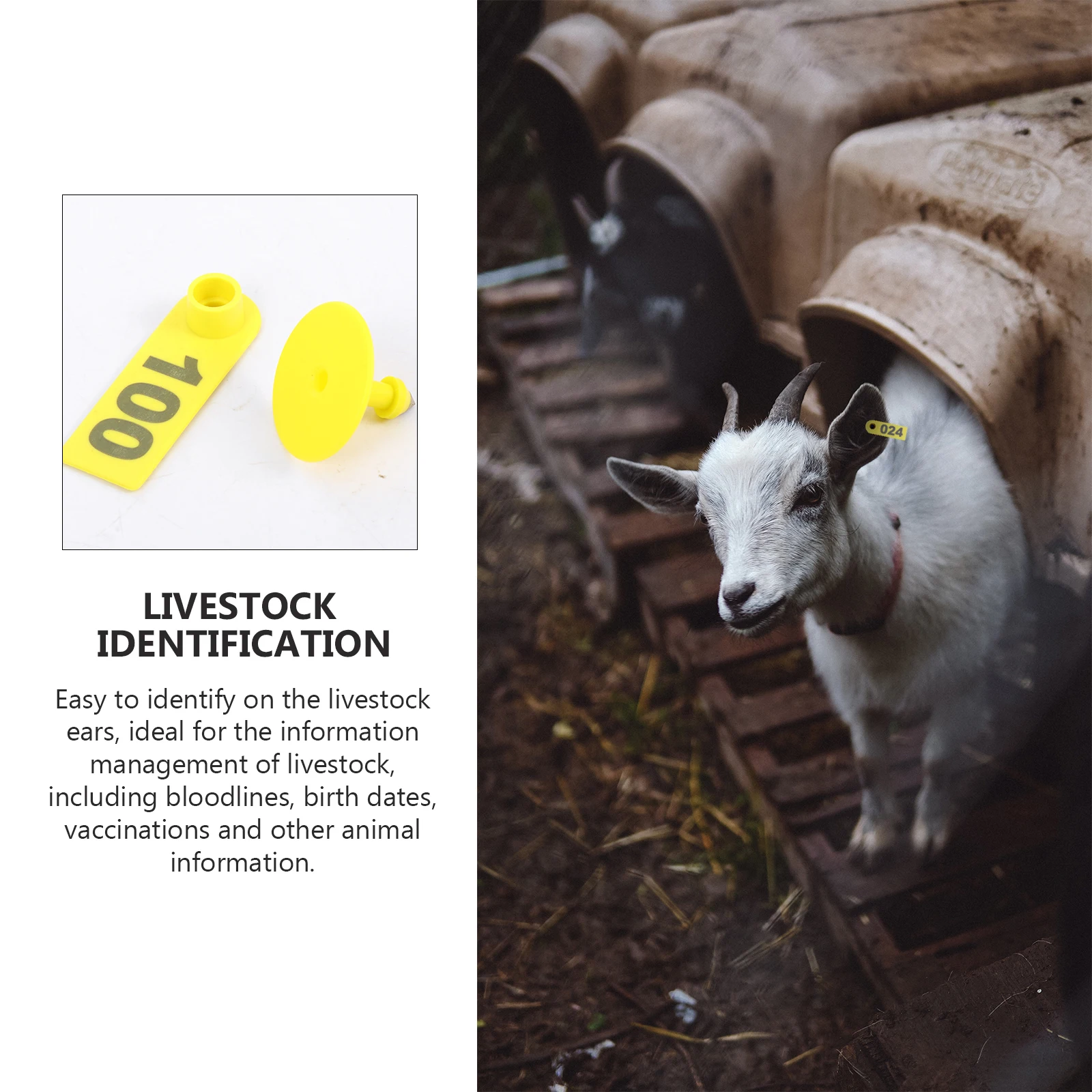 

100Pcs TPU Waterproof Anti UV Livestock ID Tag High Recognition Numbered Ear Tags For Cattle Animal Ear Tag With 001 100 Marked