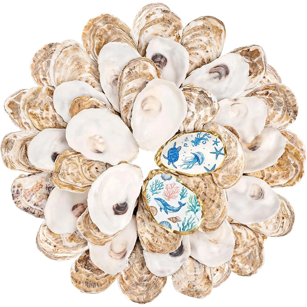 Conchas de Ostra Pequenas e Planas para Artesanato, Conchas Naturais Limpas para Pintura, Decoração DIY de Casamento, Arte com Conchas Costeiras de Natal