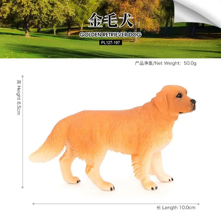 Symulowany model zwierzęcia dla dzieci plastikowa solidna zabawka dla psa golden retriever wczesna edukacja poznawcza ozdoba dekoracyjna figurka