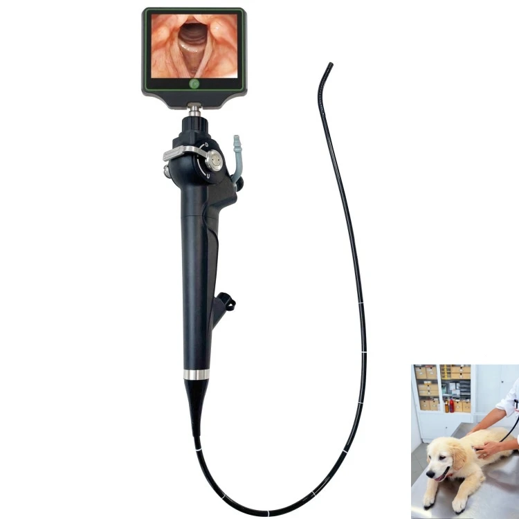 Flexible Portable Medical Grade Handle Reusable Fiber Optic Video Bronchoscope For Veternary Animal Clinic ENT