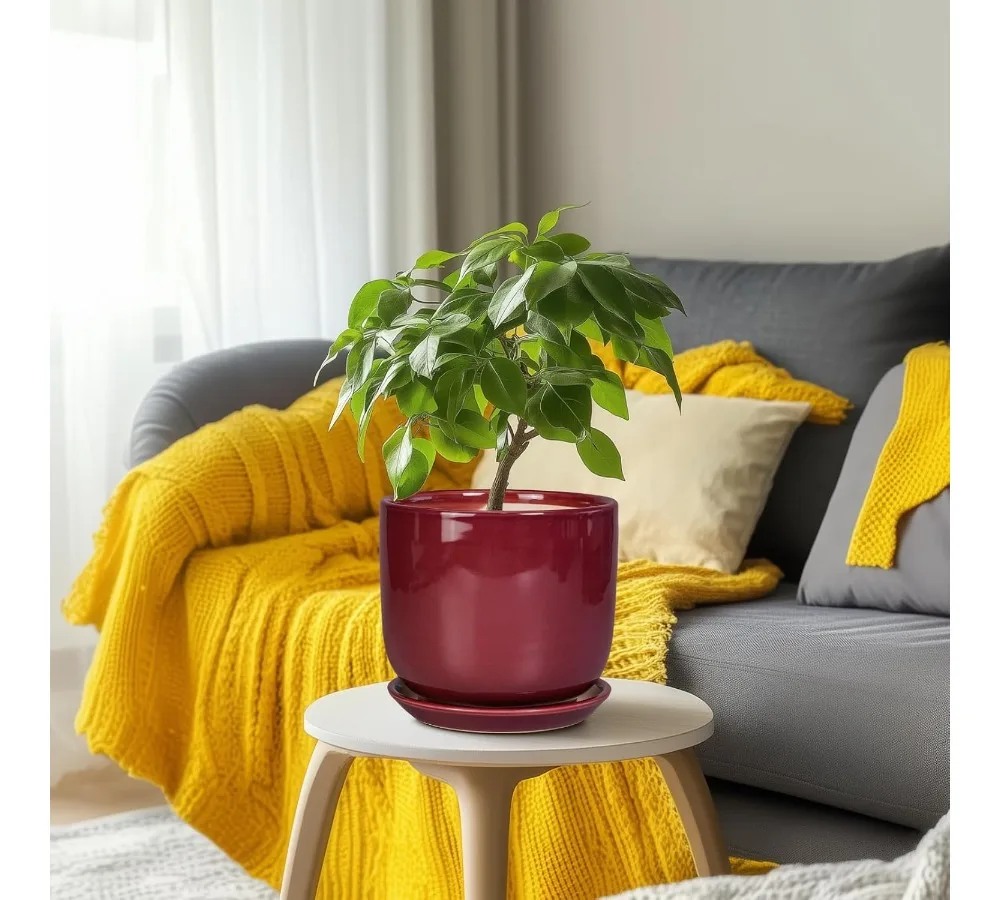 أصيص زهور سيراميك حديث مقاس 8 بوصة مع فتحة تصريف وصحن، حاوية نباتات داخلية وخارجية لديكور المنزل والأعشاب العصارية