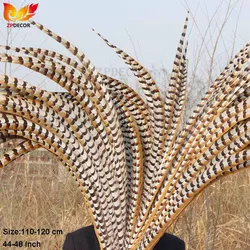 ZPDECOR-Natural Pheasant Feathers, Reeves Venery, 110-120cm, 44-48 Inch