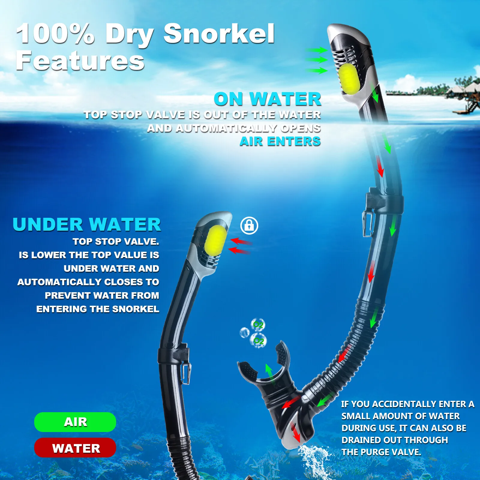 Thumbnail 4 - #73 Low Price Snorkeling Equipment Deals