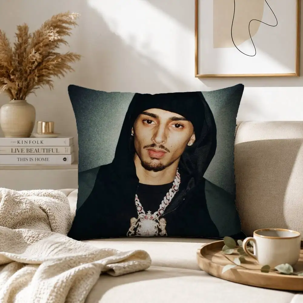 Singer B-Baby Gang rapper Pillow Case for Sofa Living Room Home office Decor Protective Cover