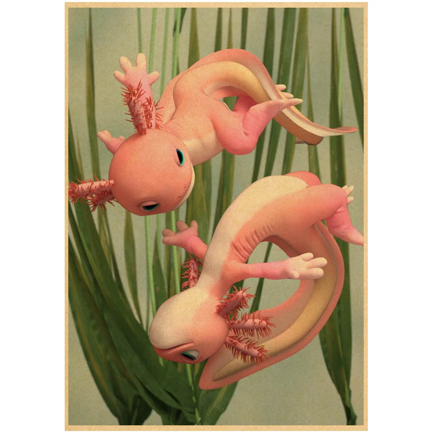 ajolote Axolotl poster Kraft Paper Print Poster Wall Art Decor Modern Home Room Bar Decoration Painting