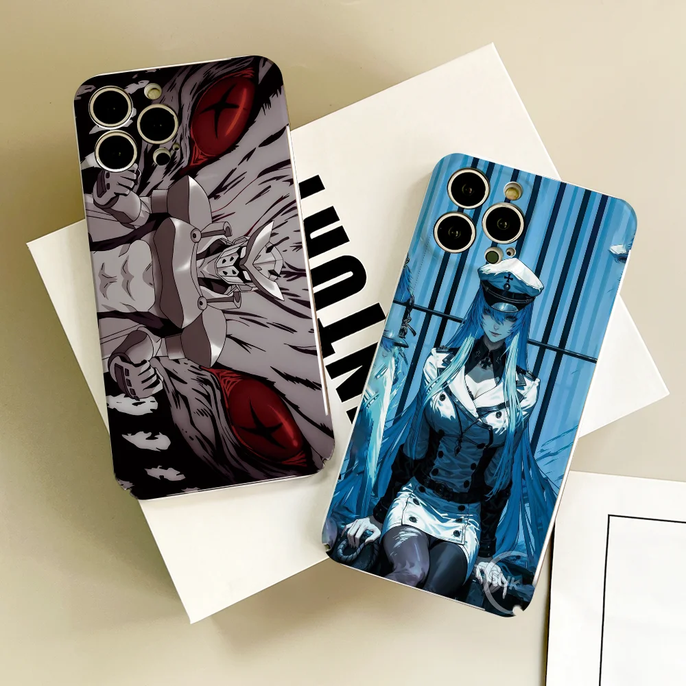 Funda de teléfono ANIME A-Akame Ga Kill FUNDA para IPhone 16 15 14 13 12 11 Plus Pro Max Mini cubiertas de película a juego con orificio preciso