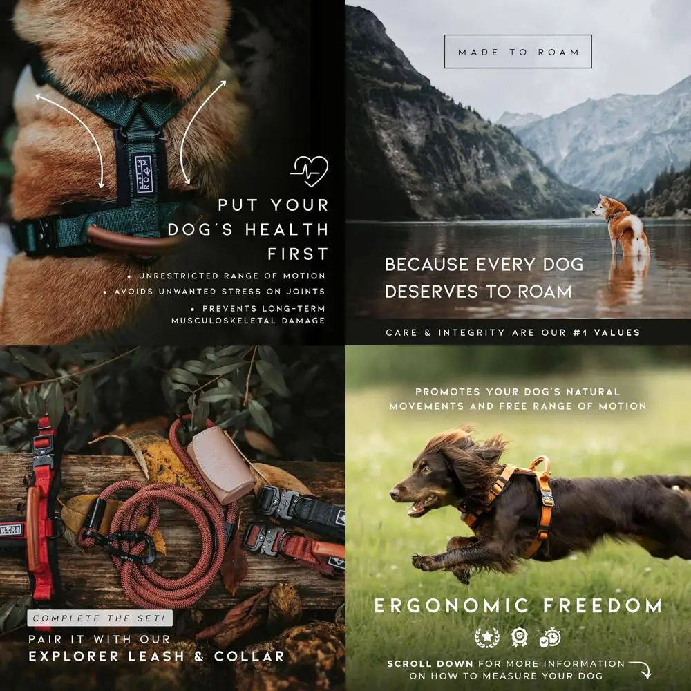 

Y-Shaped Premium Dog Harness with Adjustable Nylon, Soft Padding, Metal Buckles, and Leather Handle for Small to Large Dogs - Ve