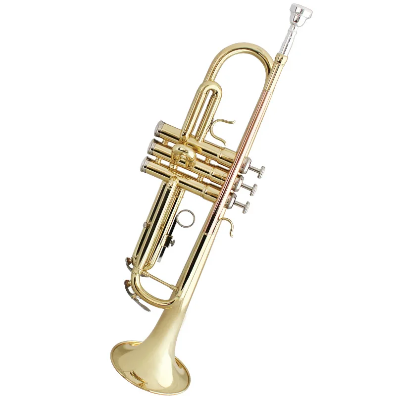 

Wholesale Cheap Professional Musical Instruments TP Gold Lacquer Brass Bb Trumpet